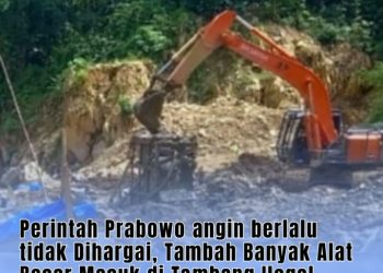 Agus Flores Geram: Perintah Presiden Prabowo Subianto Diabaikan, Tambang Ilegal Kian Marak