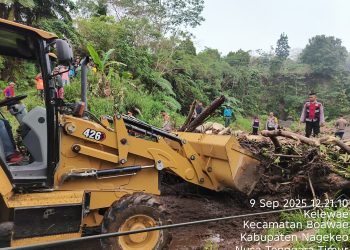Hujan Deras Picu 8 Titik Longsor di Jalur Aegela–Nangaroro