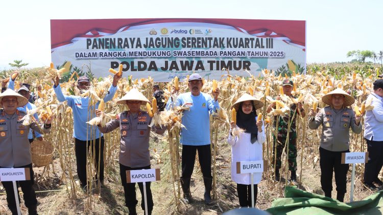 Kapolda Jatim Hadiri Panen Jagung Serentak Kuartal di Polresta Banyuwangi