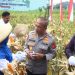 Kapolda Jabar Pimpin Panen Raya Jagung, Dorong Swasembada Pangan di Jawa Barat