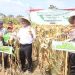 Kapolda Sulsel Hadiri Panen Jagung Bersama Menteri Pertanian di Gowa