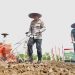 Polda Jabar Komitmen Meningkatkan Kesejahteraan Petani Jagung
