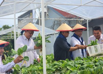 Ditjen Pemasyarakatan Serius Dukung Ketahanan Pangan Nasional Melalui Pemberdayaan Warga Binaan