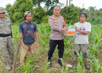 Kaops Madago Raya Serahkan Bantuan Obat Hama 