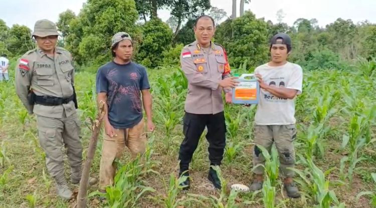 Kaops Madago Raya Serahkan Bantuan Obat Hama 