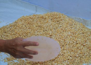 Lapas Banyuwangi Kembangkan Program Pembinaan Keterampilan Pembuatan Tempe