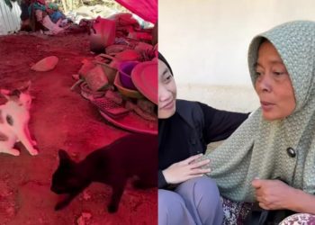 Cerita Warga Pidie Jaya, Baru Beli Kulkas untuk Menyimpan Susu Kucing Sebelum Banjir Datang