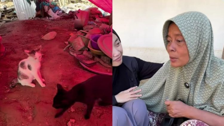 Cerita Warga Pidie Jaya, Baru Beli Kulkas untuk Menyimpan Susu Kucing Sebelum Banjir Datang