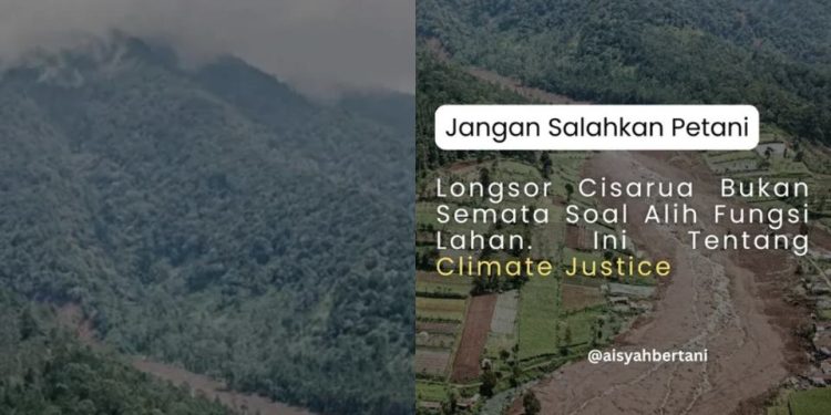 Analisa Pegiat Lingkungan Sekaligus Warga Cisarua usai Bencana Longsor, Sebut Alih Fungsi Lahan Bukan Penyebab Utama