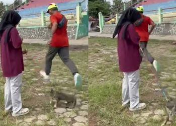 Viral Pria Tendang Kucing di Blora, Pemilik Ungkap Kronologi hingga Ancaman Penjara untuk Pelaku