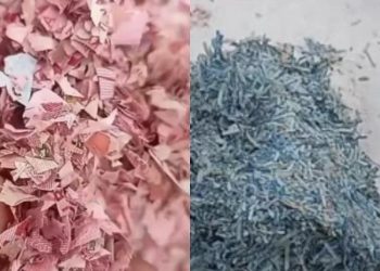 DLH Bekasi Masih Telusuri Dugaan Cacahan Uang Kertas Rp100 Ribu di TPS Liar yang Viral di Medsos